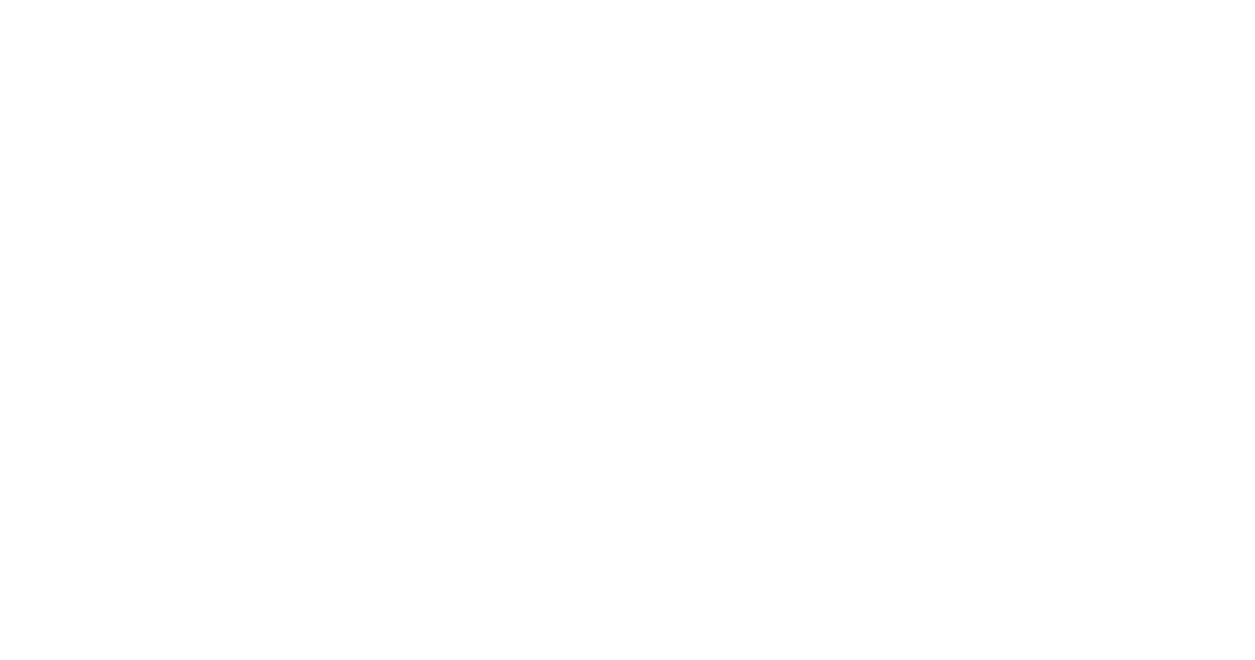 logo final white transparent