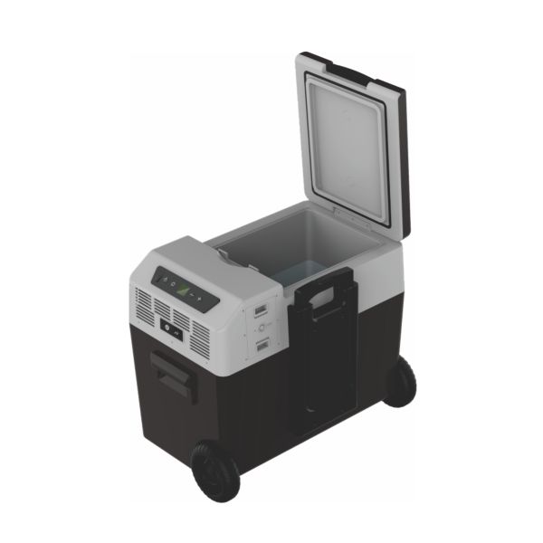 FROZEN COOLER FC-40
