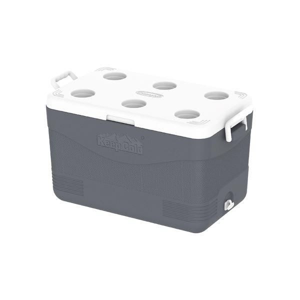 COSMOPLAST PICNIC ICEBOX 60L